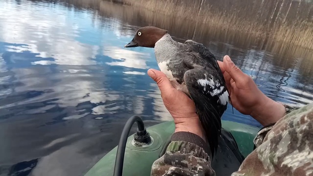 Спасение животных смотреть онлайн