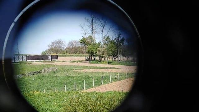 Binoclu Weltblick 7x50 Coated Optics Binoculars