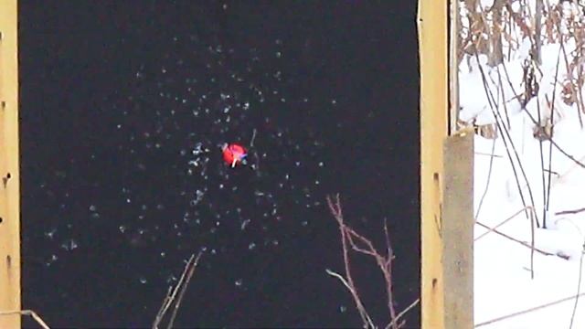 Полка Г На палочке : ))) смотреть онлайн