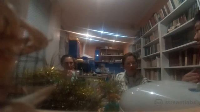 Оппозиция кушает буузы и готовит бузу смотреть онлайн