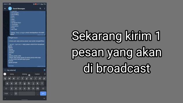 Cara Broadcast Pesan di semua chat Telegram one click userbot || #lpmsandbox #roleplayersandbox #rp смотреть онлайн