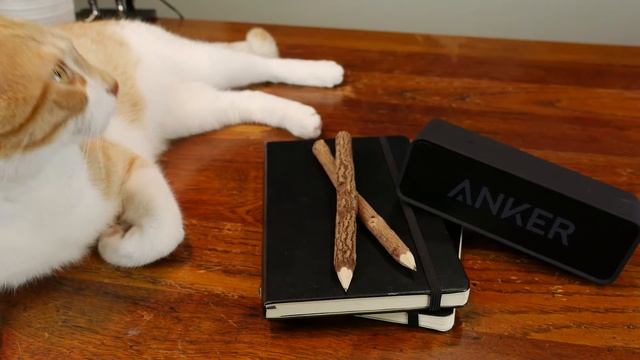 BEST Portable BLUETOOTH Speaker!? смотреть онлайн