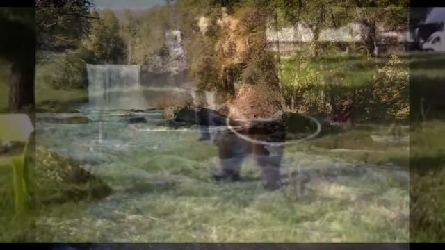 Медведи в России. Russia bears. смотреть онлайн