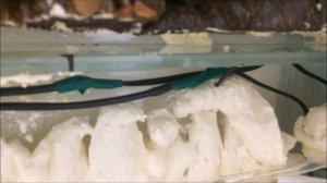 Палюдариум своими руками. Часть 1/5. Создание рельфа