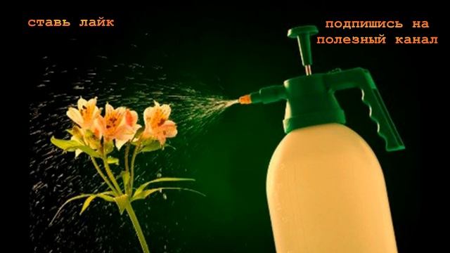 ★ Теперь я свои ОРХИДЕИ удобряю правильно и ВОВРЕМЯ. График подкормки цветка АЗОТОМ, КАЛИЕМ смотреть онлайн