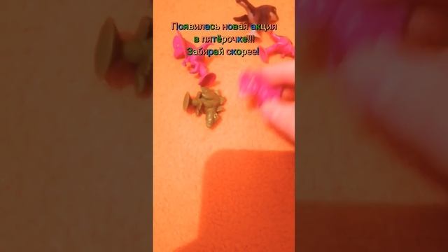 Новая акция в пятёрочке!