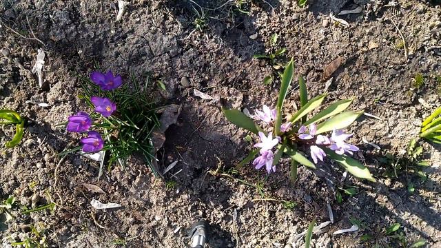 Станица Краснооктябрьская Timеlapse 1080 FulHD смотреть онлайн