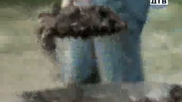 Лоховское видео скачать приколы смотреть видео смотреть онлайн