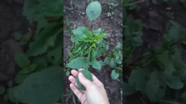 Ремонт начинается... смотреть онлайн
