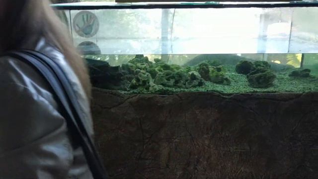 VLOG: Гуляем в Парке Ривьера/Walking in the Park Riviera Sochi смотреть онлайн