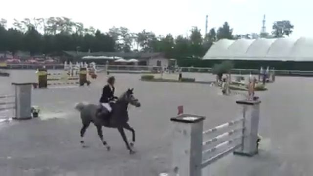 Caillou de la Pierre Z - GP 6 ans CSI ** Busto Arsizio (Ita) 4 ème *SOLD* смотреть онлайн