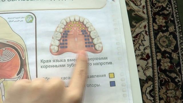 Правильное Произношение Арабских Букв - Дод, Айн и т.д. смотреть онлайн