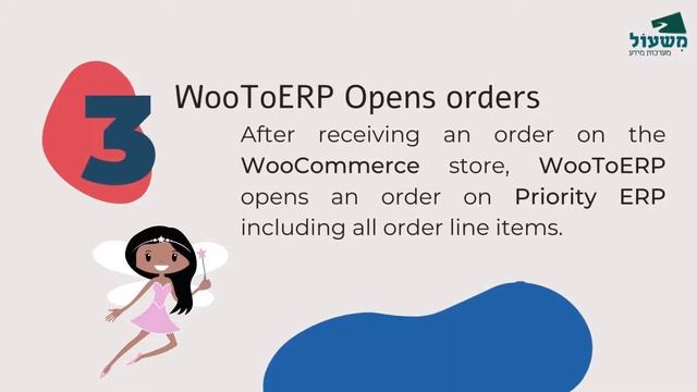 WooToERP connects a WooCommerce store to the Priority ERP system. смотреть онлайн