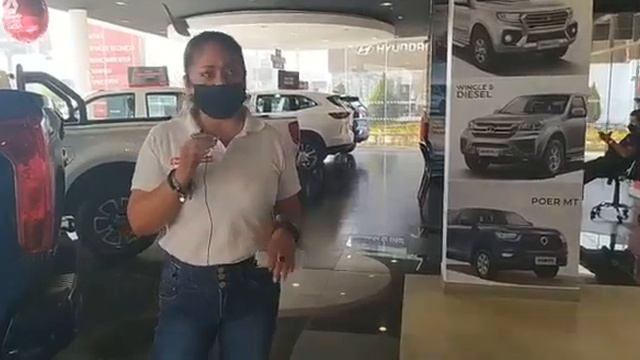 Modelos de Great Wall 2022 gracias a Derco Center Gacsa смотреть онлайн