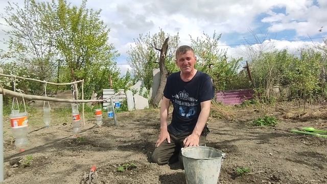 Клубнику Елизавета ! Душевное видео☺️ смотреть онлайн
