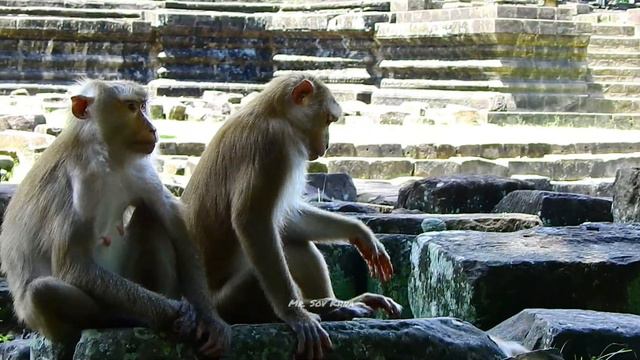 After raining the sky is clear Luna came back to comfort Libby cuz she did wrong to Rainbow смотреть онлайн