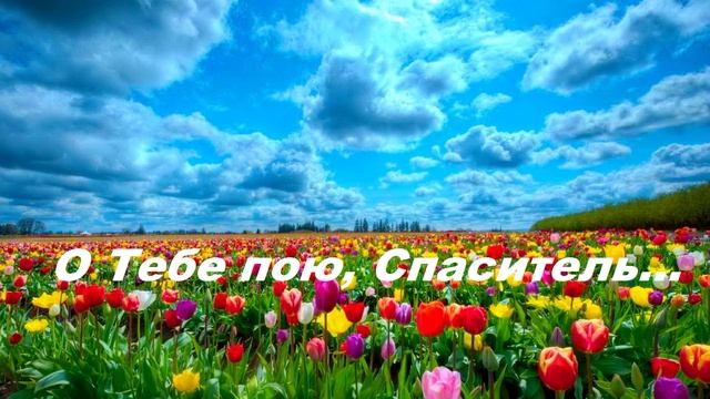 О Тебе пою, Спаситель...