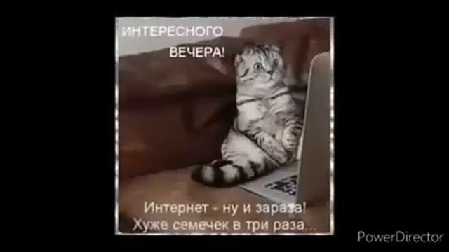 100000620-SP Доброго летнего вечера (0.30) смотреть онлайн