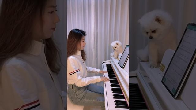 why buy digital piano смотреть онлайн