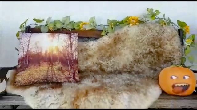 Осенний декор дома/ ИДЕИ осеннего декора /ВЛОГ Dom часть 1 смотреть онлайн