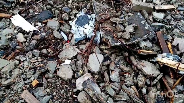 ЦЕНА НА МЕТАЛЛ РАСТЁТ. Собираю с помощником. #металлокоп#железо смотреть онлайн