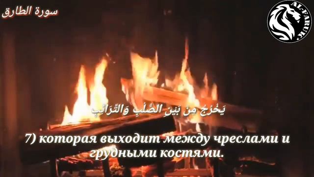 Очень эмоциональное чтение ''Сура 86 ат-Тарик'' смотреть онлайн