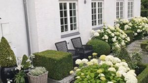 Как правильно посадить ГОРТЕНЗИЮ в саду, опыт и советы от Евгении