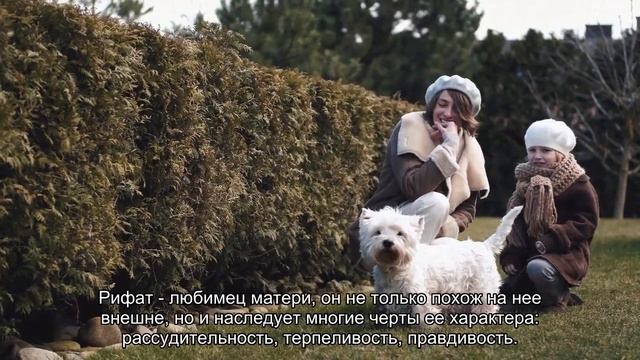 Значение имени Рифат. Толкование, судьба, характер смотреть онлайн