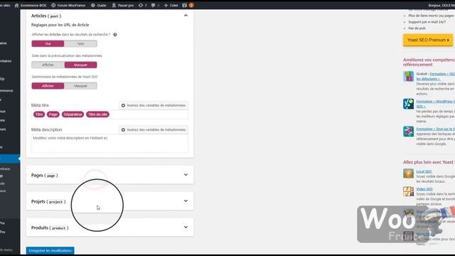 PRÉSENTATION DU PLUGIN YOAST SEO смотреть онлайн