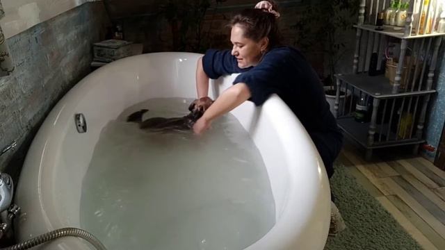 Была тяжёлая ночь🌙⏰💤. У Айки звёздный час!