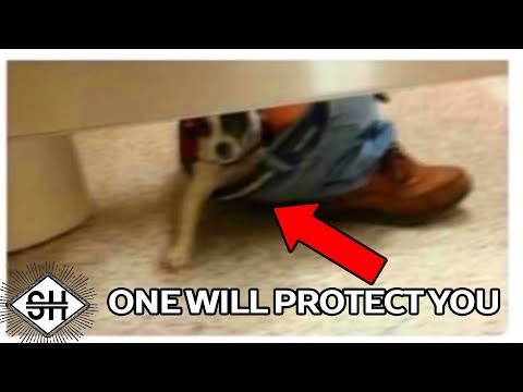 1 Will Protect You. The Rest Will Attack.