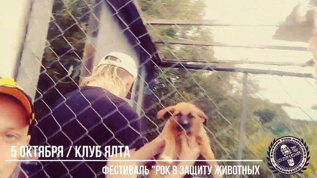 Индульгенция / акция "Рок в защиту животных" смотреть онлайн