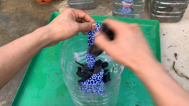 Trồng lan thế này thì cây phát triển rất nhanh và ra hoa nhiều, lâu tàn смотреть онлайн