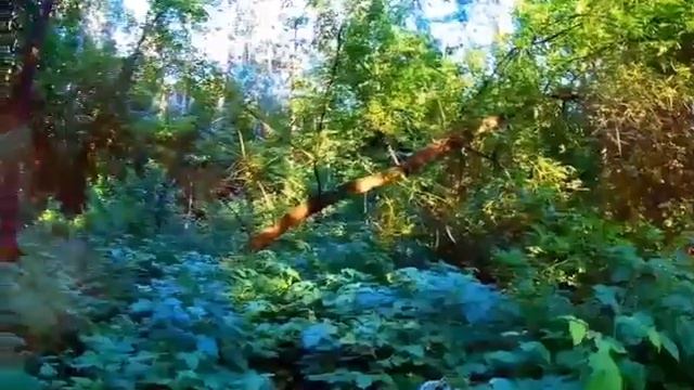 Цветок любви. смотреть онлайн