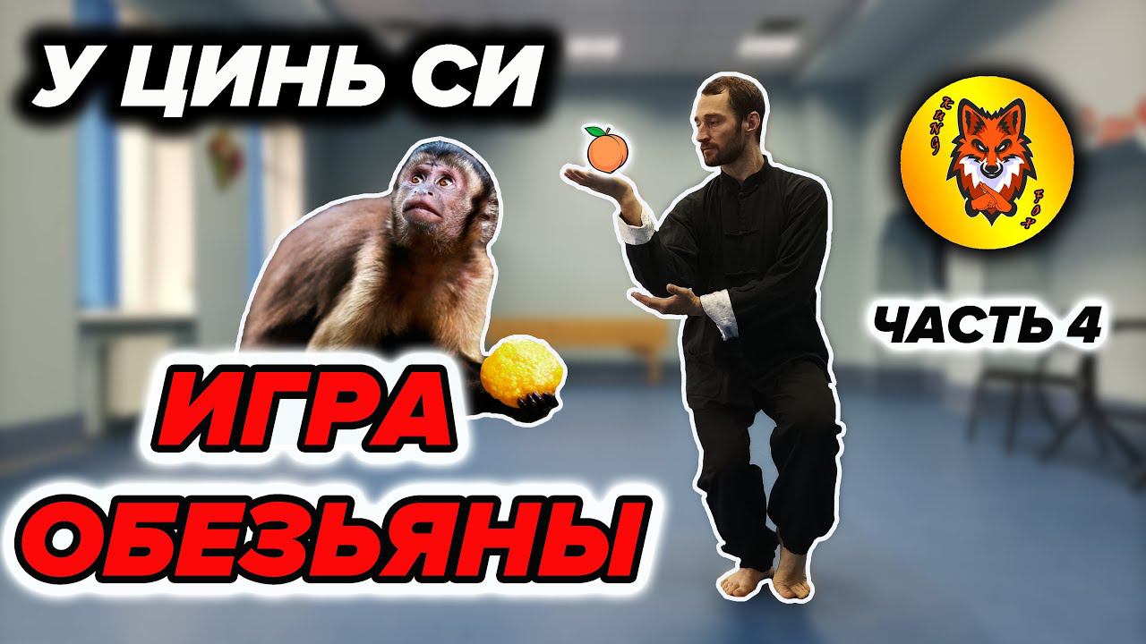 Комплекс Ци Гун "Игра 5 зверей". ОБЕЗЬЯНА смотреть онлайн
