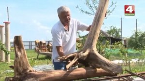 Декоративные поделки из дерева на садовом участке