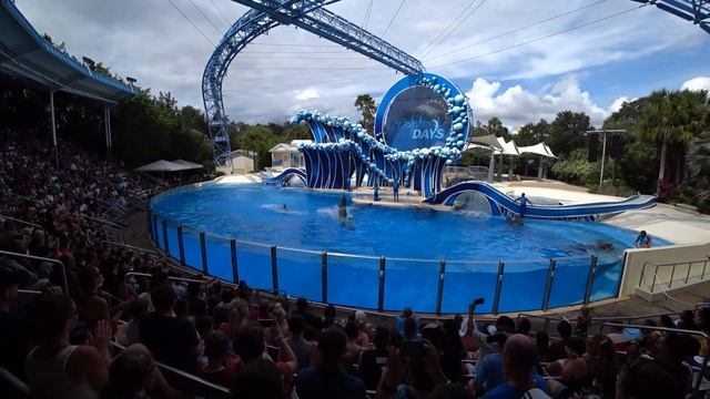 #33  Парк Seaworld в Orlando и его популярные шоу