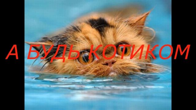 НЕ БУДЬ МОРЖОМ... смотреть онлайн