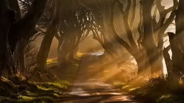 Sergey Eybog - Nobody's Secret