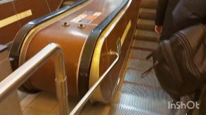 Станция метро Проспект Просвещения:Где выход...? Ужасы Петербурга.