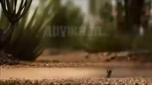 Мультик: командная  работа - сила!