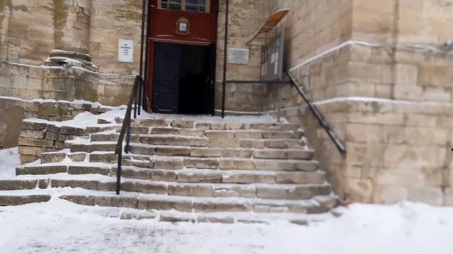 Гусь Железный 5.01.2021