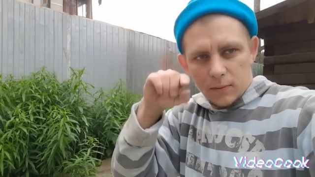 DEAF Бетонных колец #deaf #глухих #ржя смотреть онлайн