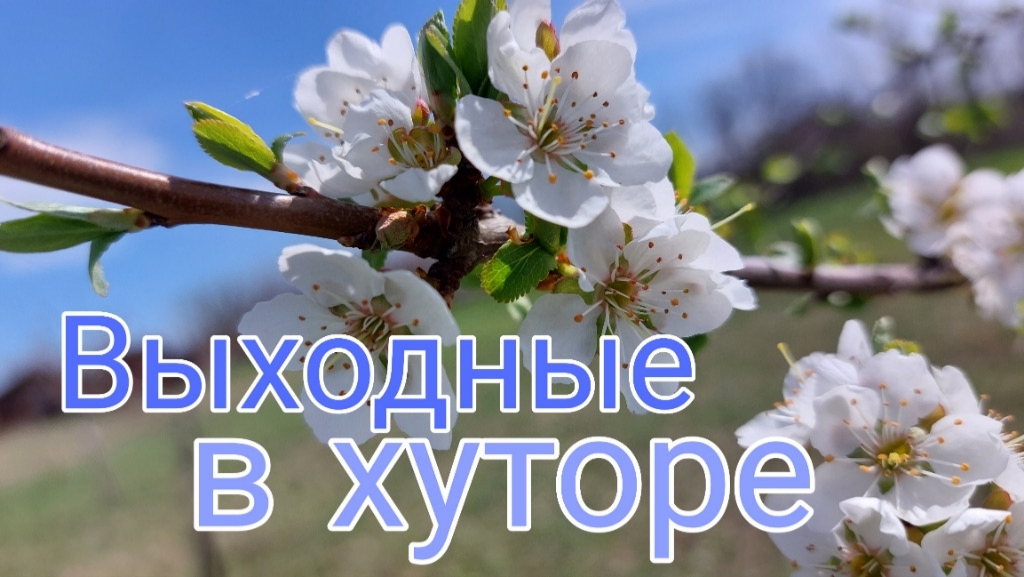 Выходные в хуторе. смотреть онлайн