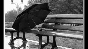 Мгновение (композитор Н. Шейко)