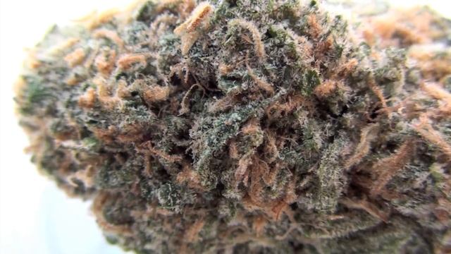BLUE DREAM REVIEW - DANK смотреть онлайн