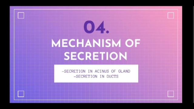 Salivary secretion | GIT Physiology | Physiology |Basic concept смотреть онлайн