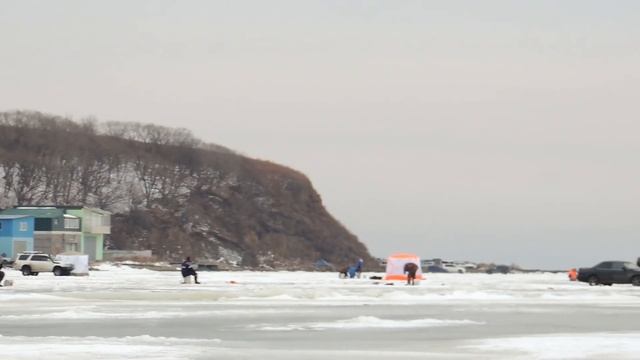 Рыбалка зимой на самодуры. Рыба в яме кишит! Зубатка селедка. смотреть онлайн