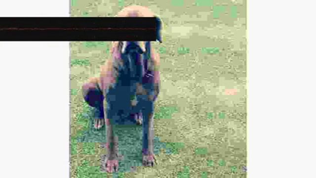 Migration Indirect   Mutter   Ozxwwdlzuo