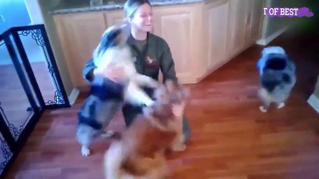 Dog's Love Is Forever, Dog Meets Owner After Long Time смотреть онлайн